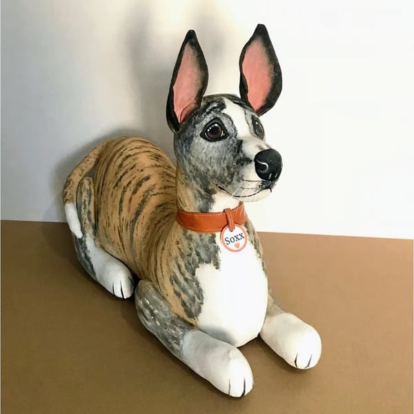 Whippet or Greyhound