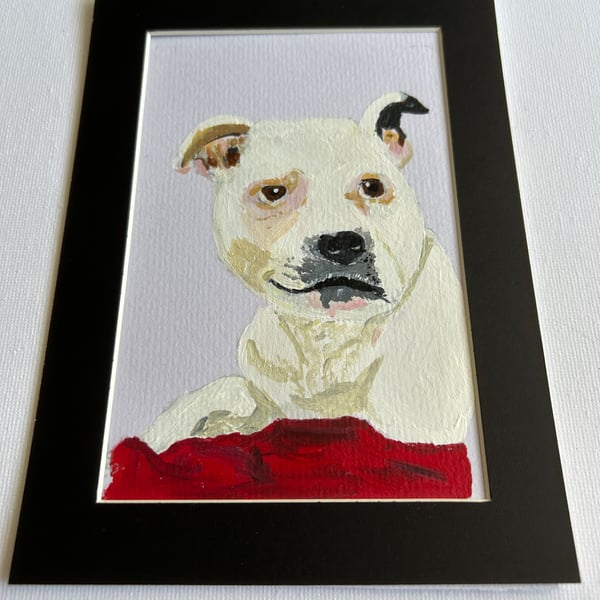 Original painting of a white dog 5x7" in acrylic 