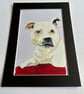 Original painting of a white dog 5x7" in acrylic 
