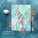 Seashell art card wentletrap shell artist card cellophane free