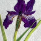 Hand-Felted Iris Textile Artwork 