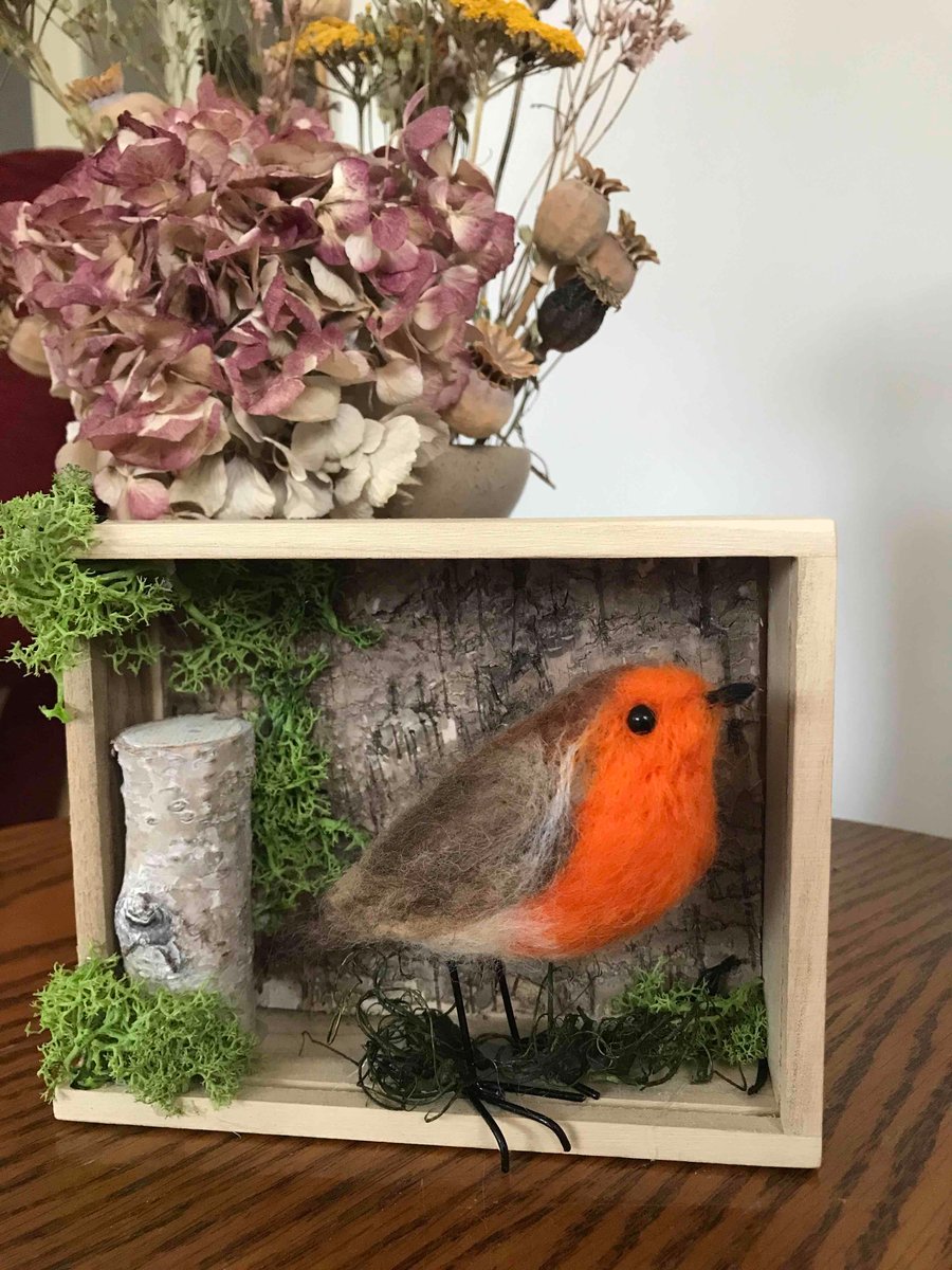 Robin needle felted display box art 