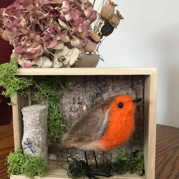 Robin needle felted display box art 