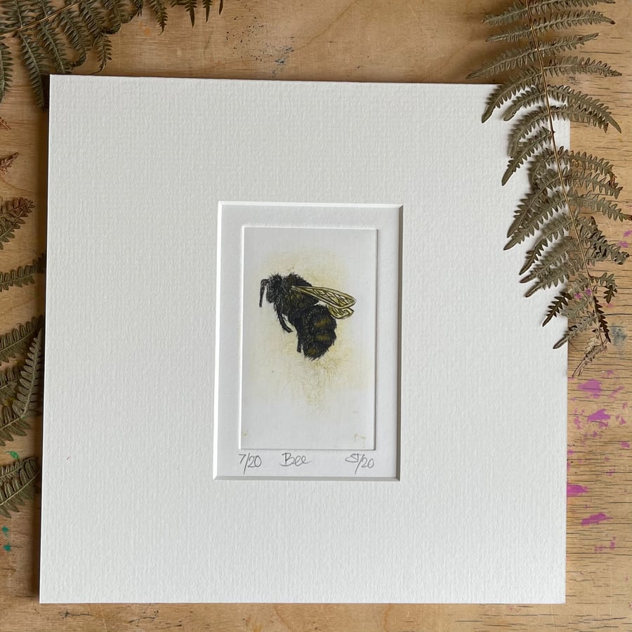 Bee print. Original hand printed drypoint etching.