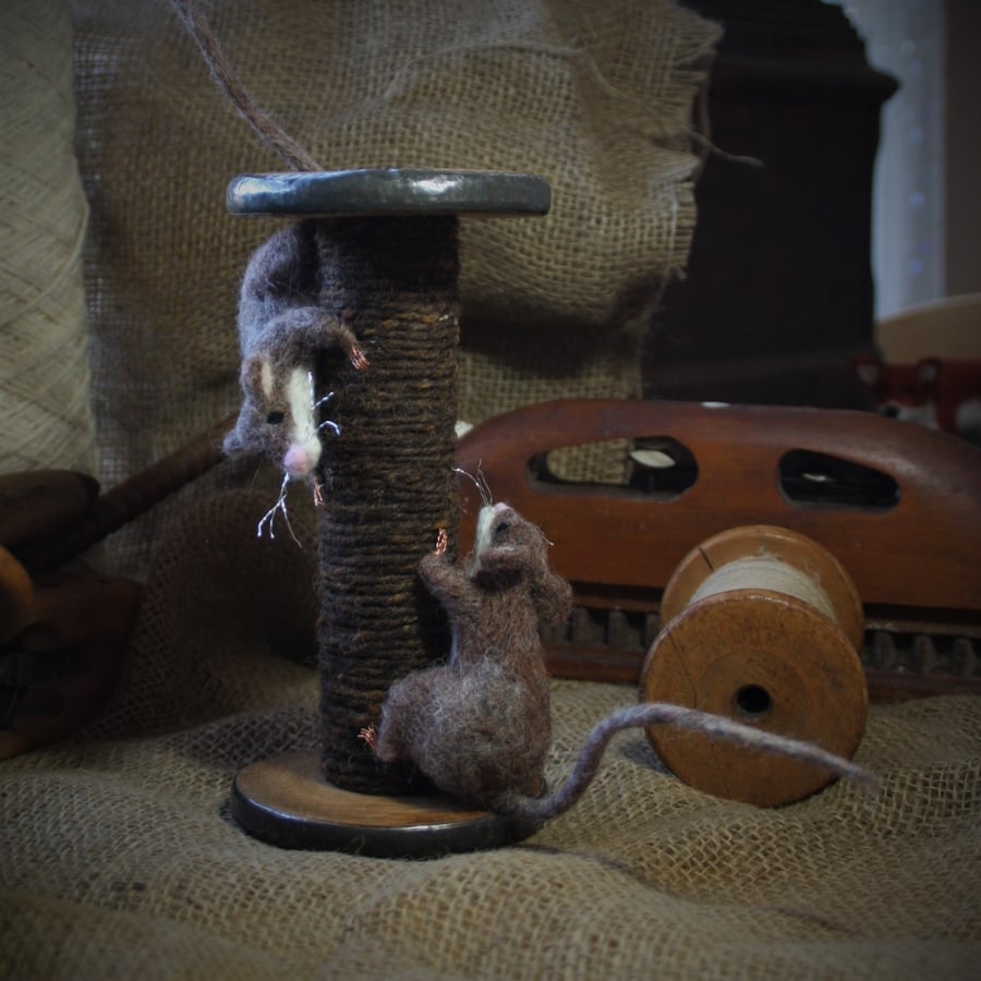 Chase - needle felted mouse sculpture