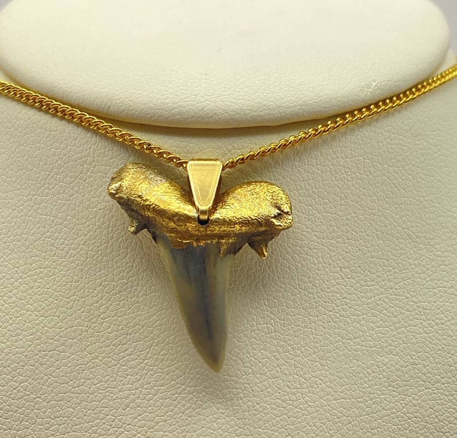 Shark tooth pendant, gold plated 24k, 697