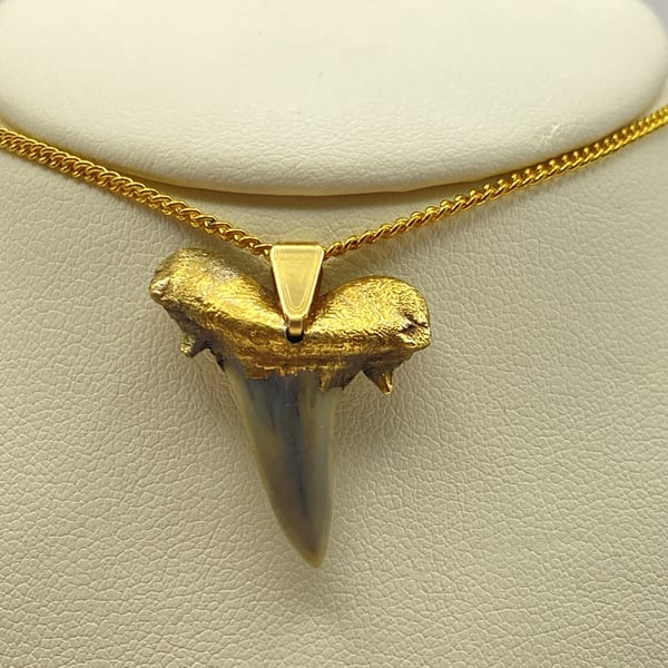 Shark tooth pendant, gold plated 24k, 697