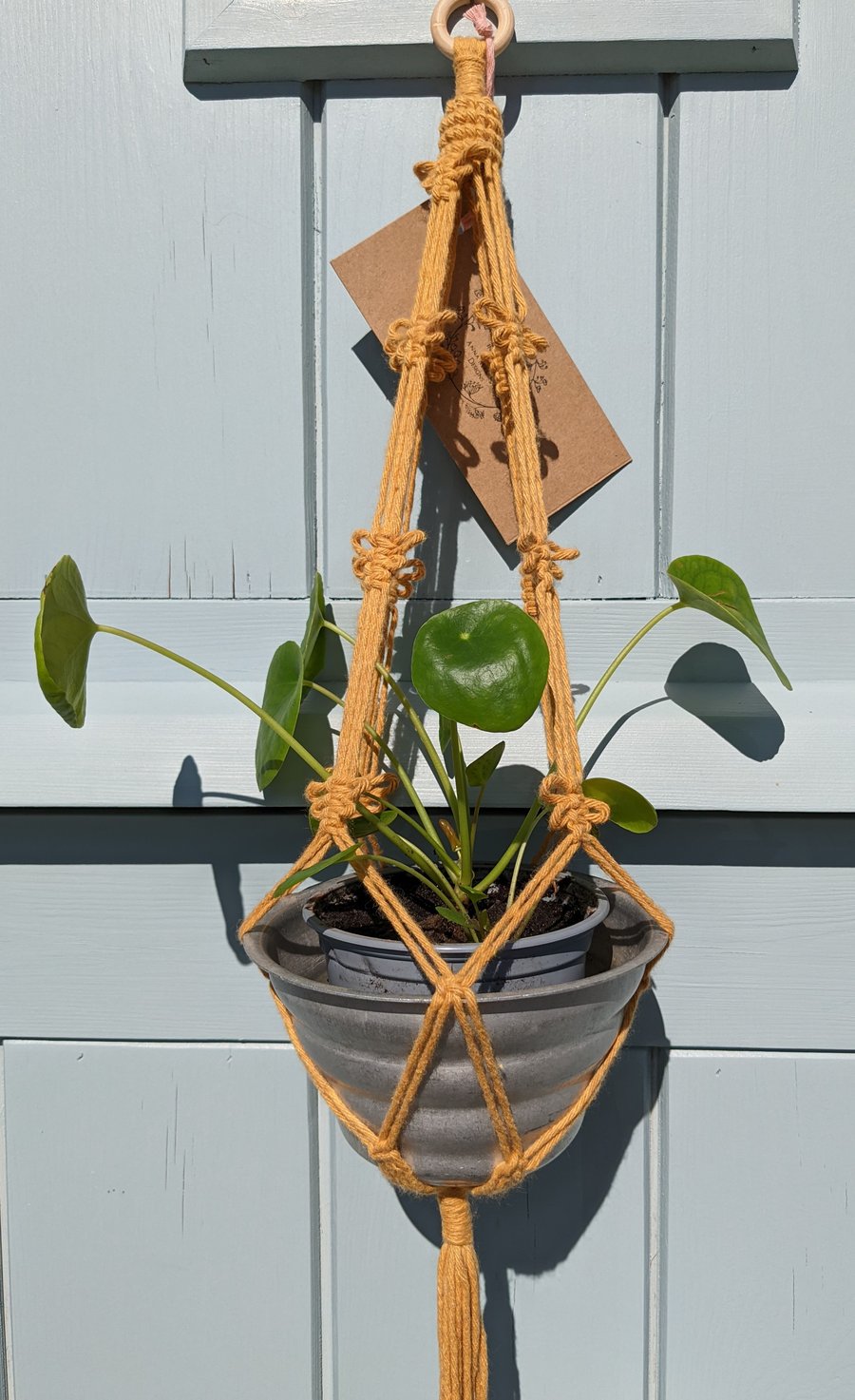 Bee Plant Holder Macramé Hanging Basket