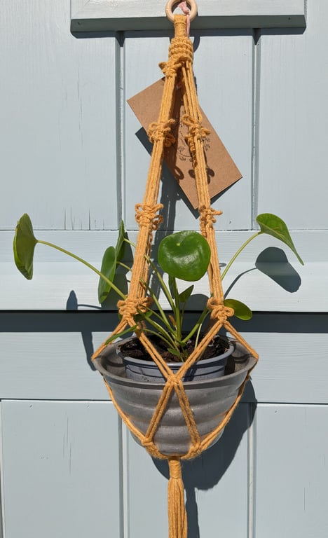 Bee Plant Holder Macramé Hanging Basket