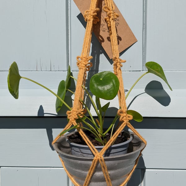 Bee Plant Holder Macramé Hanging Basket