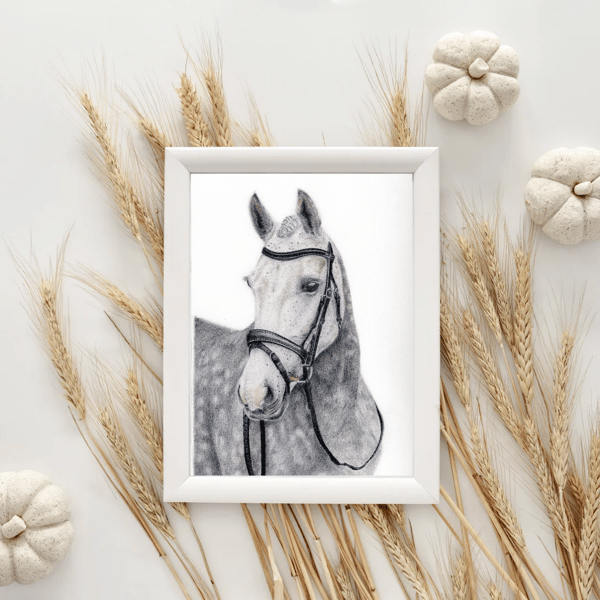 Equestrian Horse Drawing Giclee Fine Art Print A4