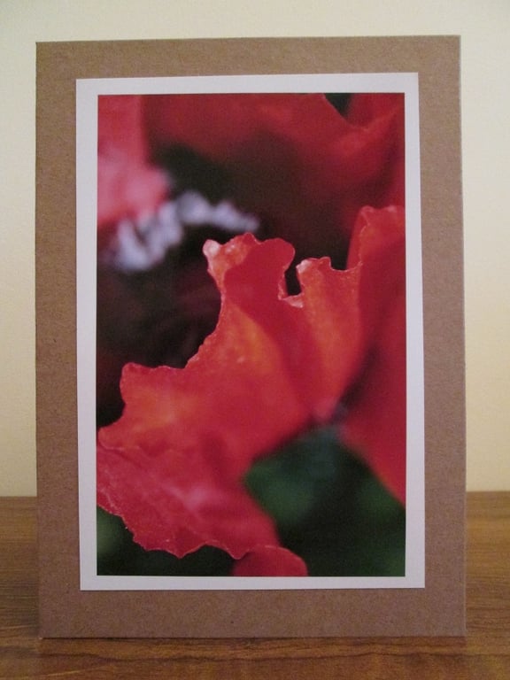 Poppy Photo Greetings Card
