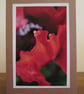 Poppy Photo Greetings Card - Image 1