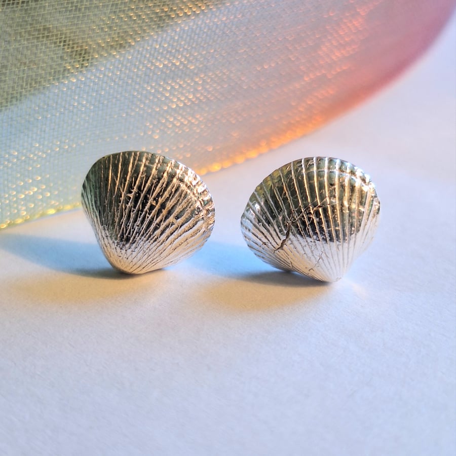 Small Shell Silver Studs