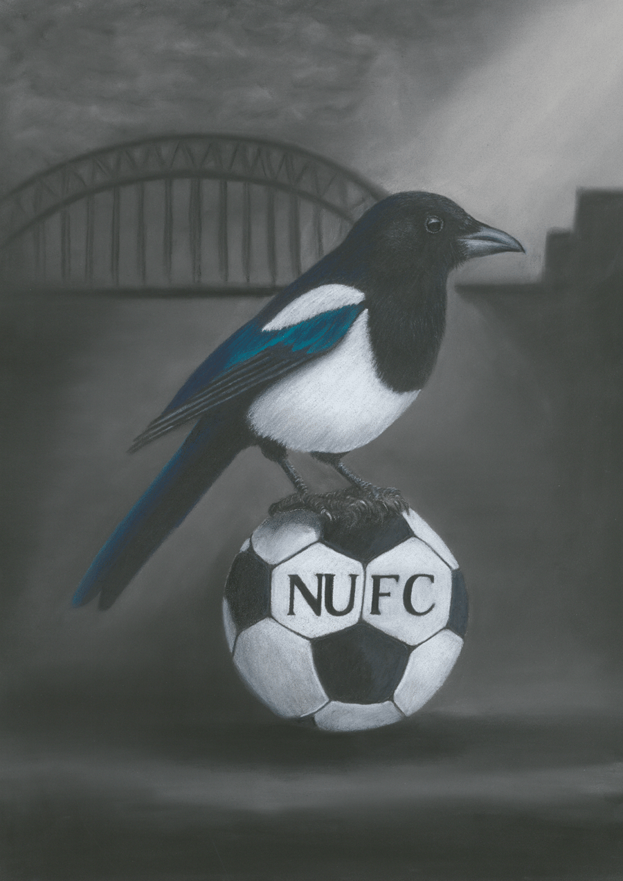Newcastle FC Magpie Art print A3 - Folksy