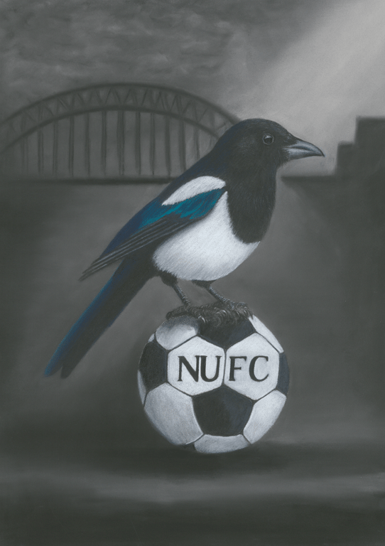Newcastle FC Magpie Art print A3