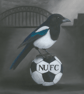 Newcastle FC Magpie Art print A3 - Folksy