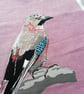 Jay card, blank cards, garden bird, bird lover, bird watching - Image 9