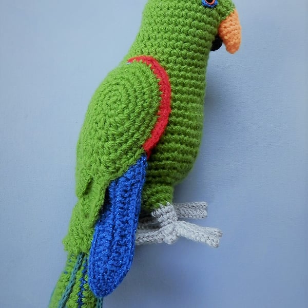 Eclectus Parrot-crochet
