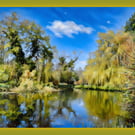 Gooderstone Water Gardens Norfolk Greeting Card A5