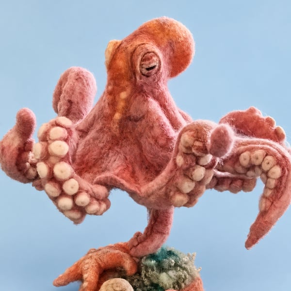 Needle felted Octopus in natural background of starfish and shells