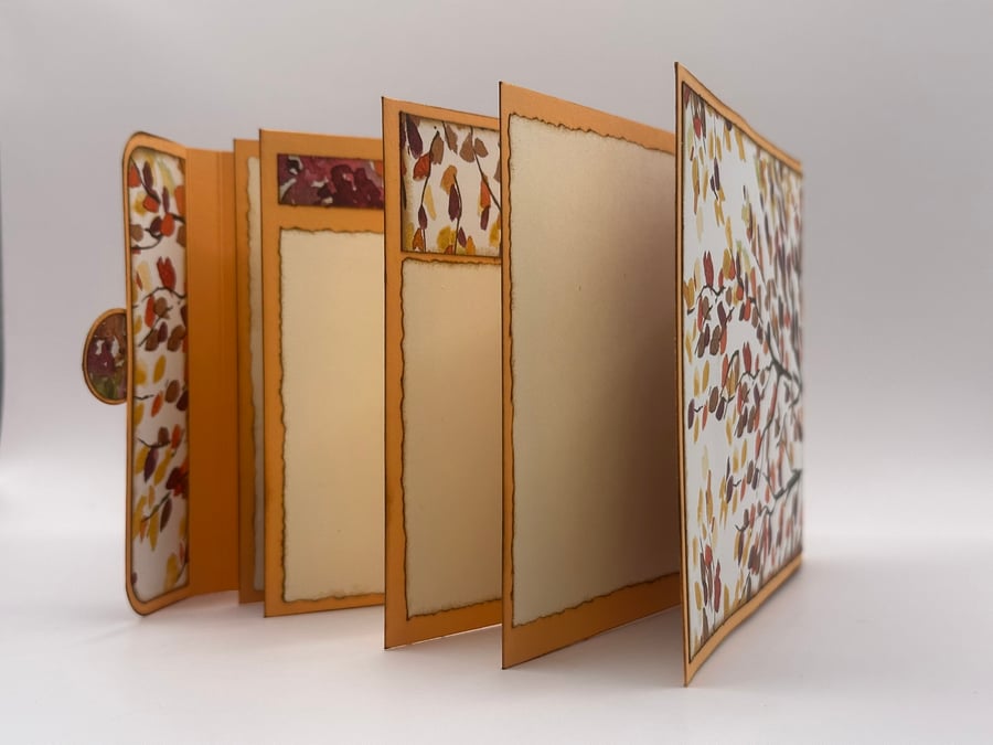 Memory Book, brag book