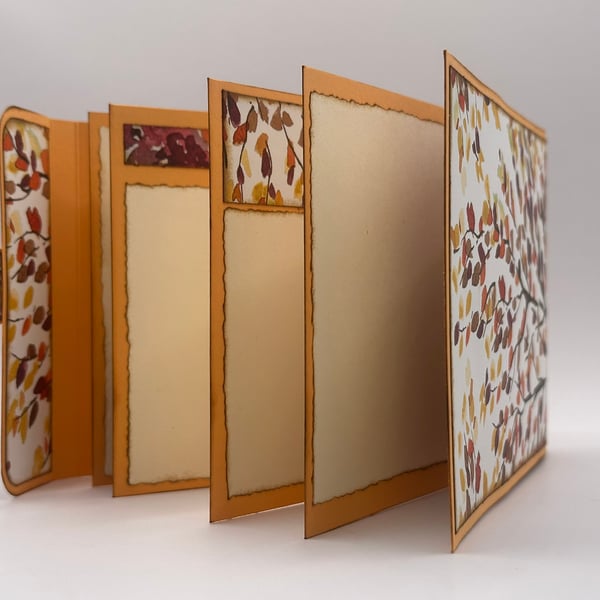Memory Book, brag book