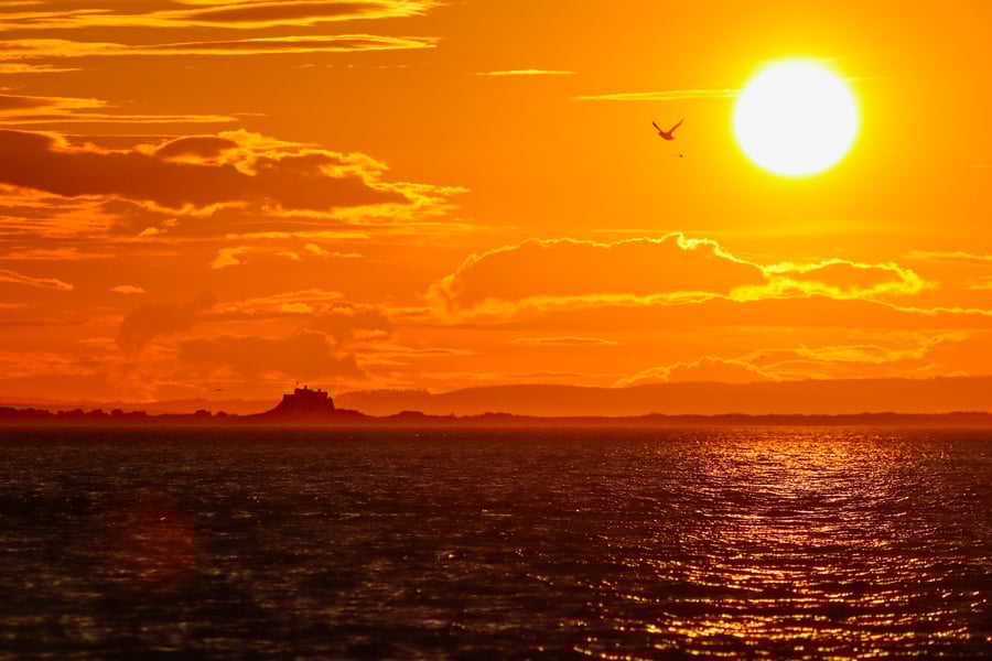 Sunset Over Lindisfarne Castle - Photography Print (unmounted, unframed)