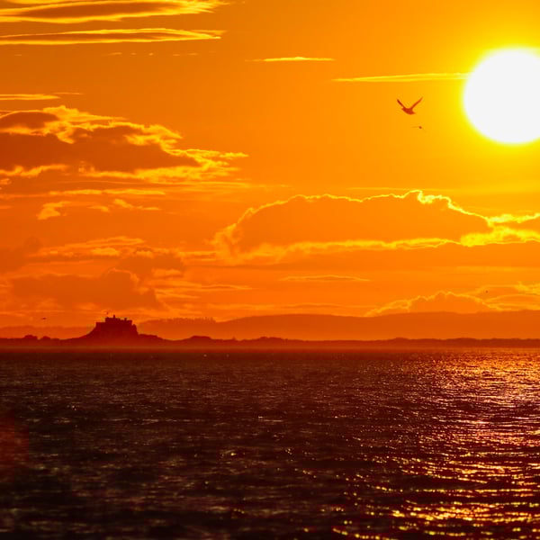 Sunset Over Lindisfarne Castle - Photography Print (unmounted, unframed)