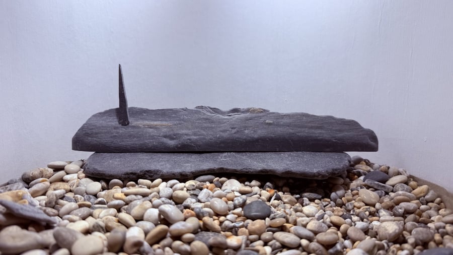 Tall Tiny Stone Tree on Stone Slope
