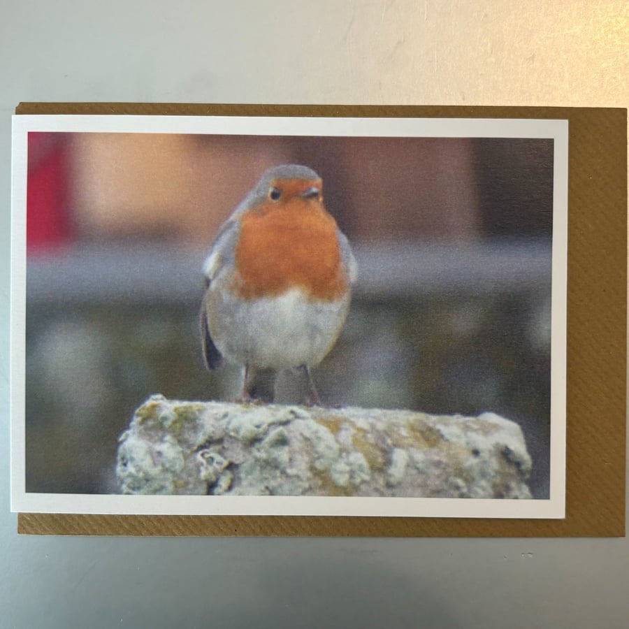 Robin in St Leonards A5 Greeting Card