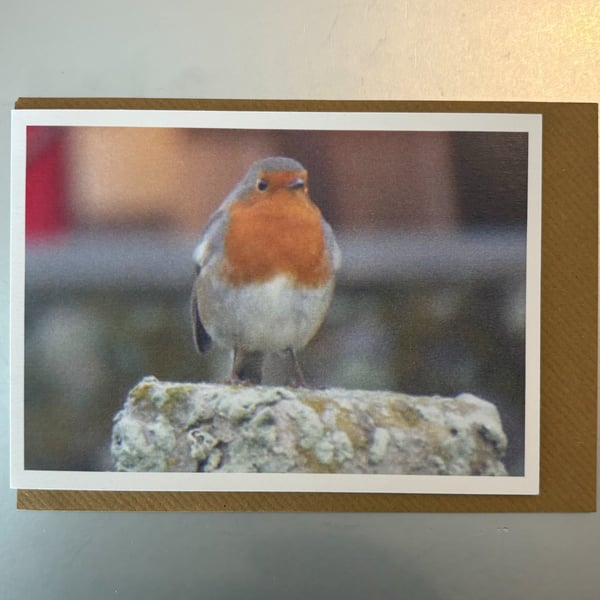Robin in St Leonards A5 Greeting Card