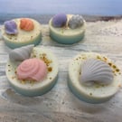 Handmade Seashell & Beach Shaped Soy Wax Melts