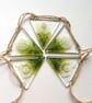 Hand Drawn Dandelion Glass Bunting: Garden Decor - Image 4