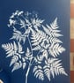 Sweet Cicely in Cyanotype, Botanical gift. Floral Gift - Image 3