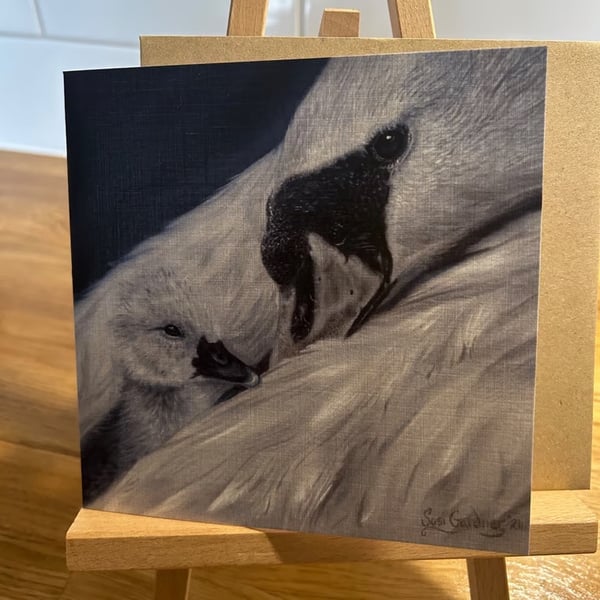 6 x 6 inch Swan and Cygnet Card
