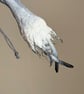Spun Cotton Winter Wood Spirit - Image 3