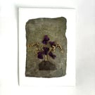 Card Moorland Strolls Witch Inspired