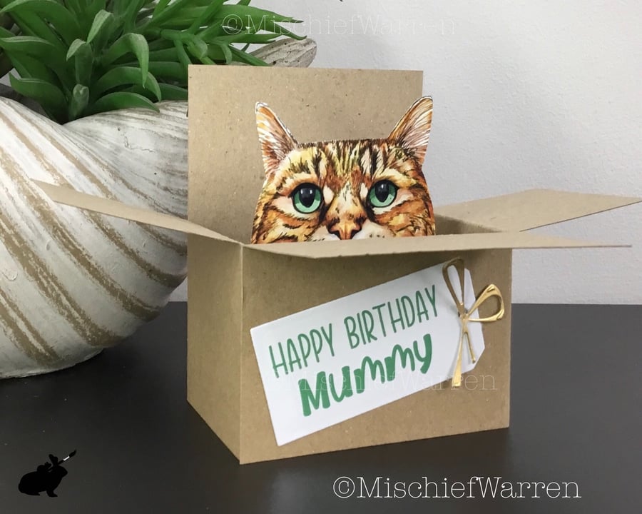 Brown Tabby Cat in a Box Card. 3D Personalised Card for any occasion