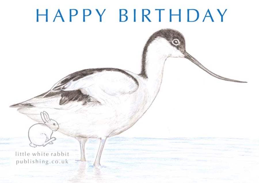 Avocet - Birthday Card