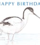 Avocet - Birthday Card - Image 1