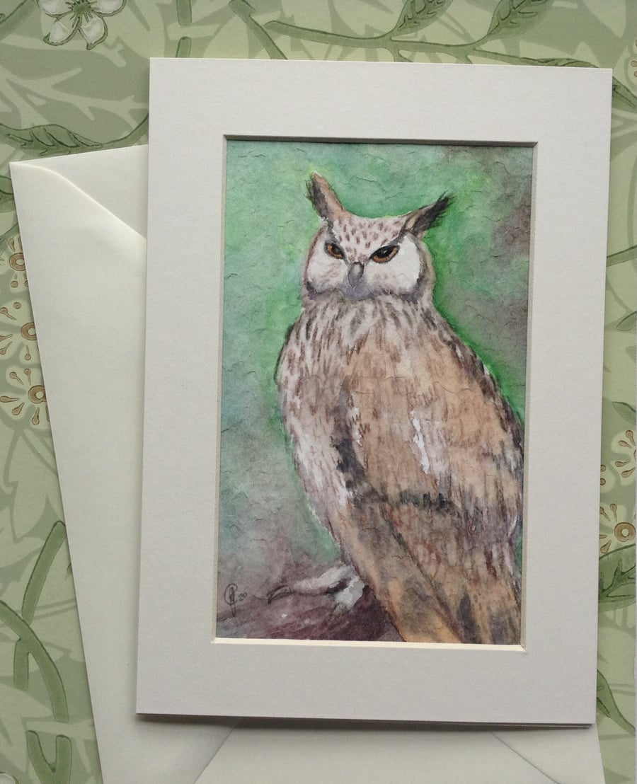 Hand painted 'Eagle Owl' in mount