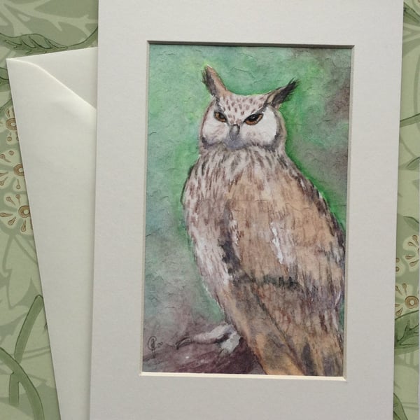 Hand painted 'Eagle Owl' in mount