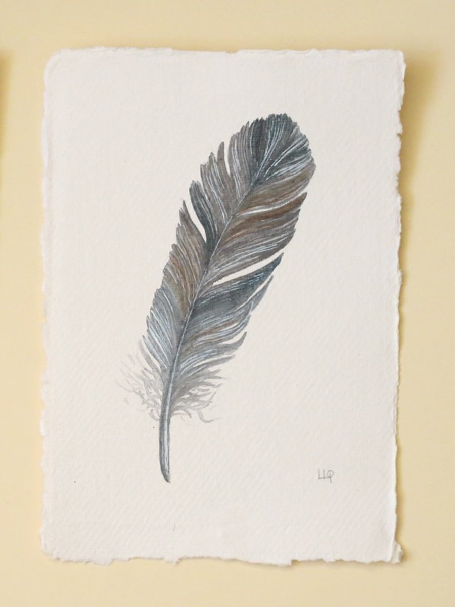 Feather painting original watercolour illustration