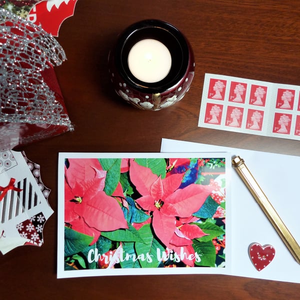 Poinsettia Profusion Christmas Card