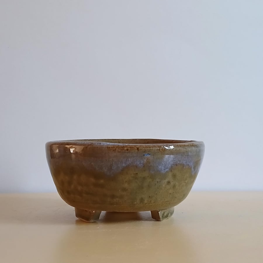 Bonsai, Cactus, Succulent, Accent pot