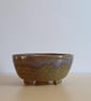 Bonsai, Cactus, Succulent, Accent pot