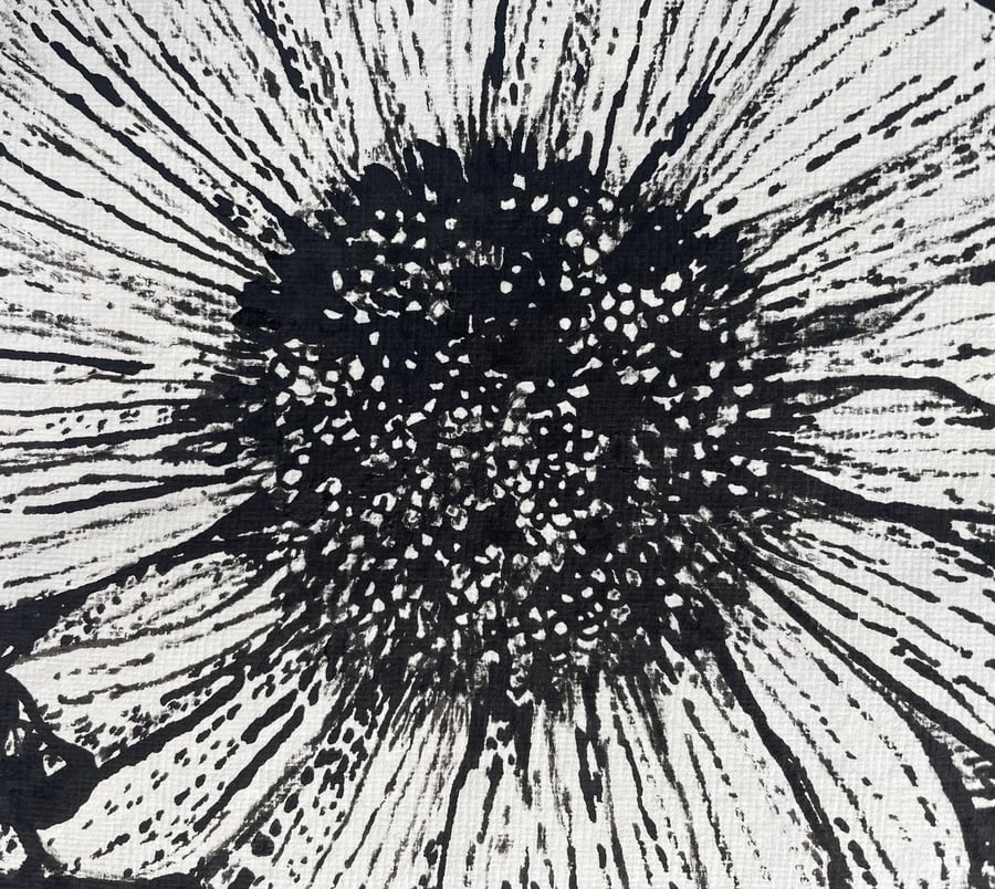 India Ink Drawing of Echinacea Framed