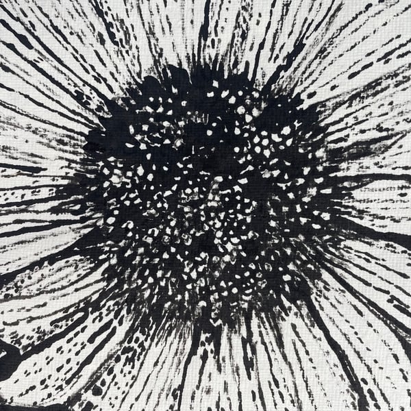 India Ink Drawing of Echinacea Framed