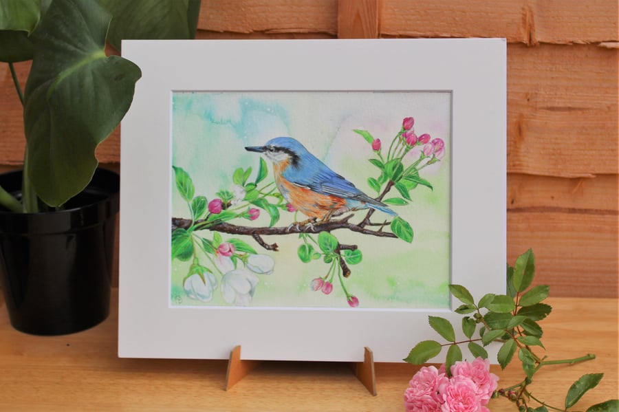 'Nuthatch In Blossom' Original Artwork - Bird Art